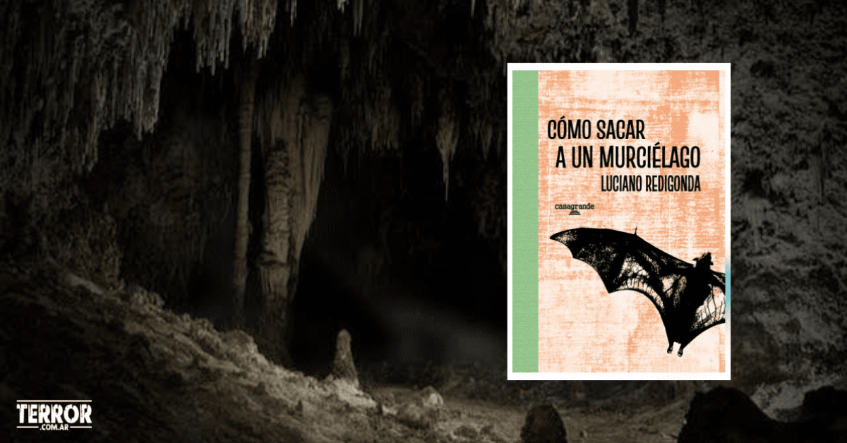Lee más sobre el artículo Cómo sacar a un murciélago, de Luciano Redigonda
